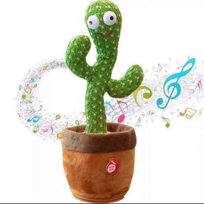 Cactus Bailarin Virtualmallco